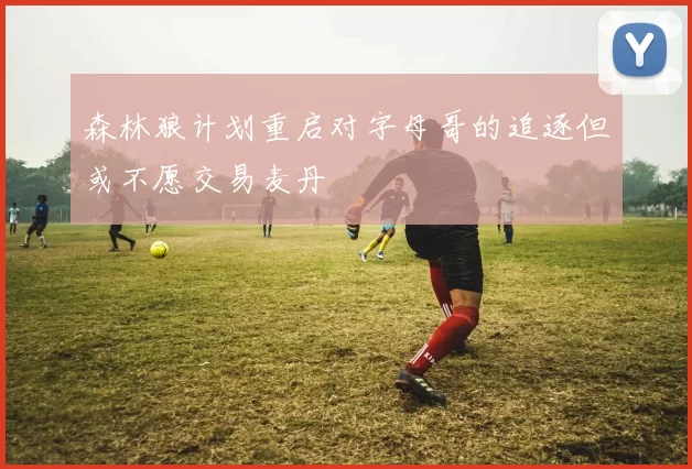 森林狼计划重启对字母哥的追逐但或不愿交易麦丹
