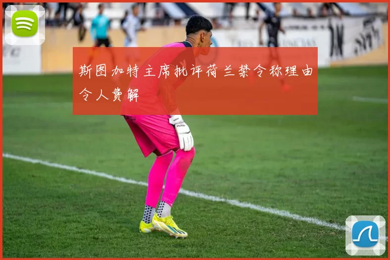 斯图加特主席批评荷兰禁令称理由令人费解